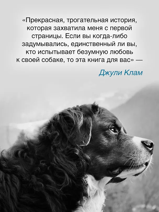 Книга Его запах после дождя (Седрик Сапен-Дефур) — 9