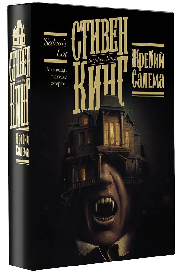Книга Жребий Салема (Стивен Кинг) — 5