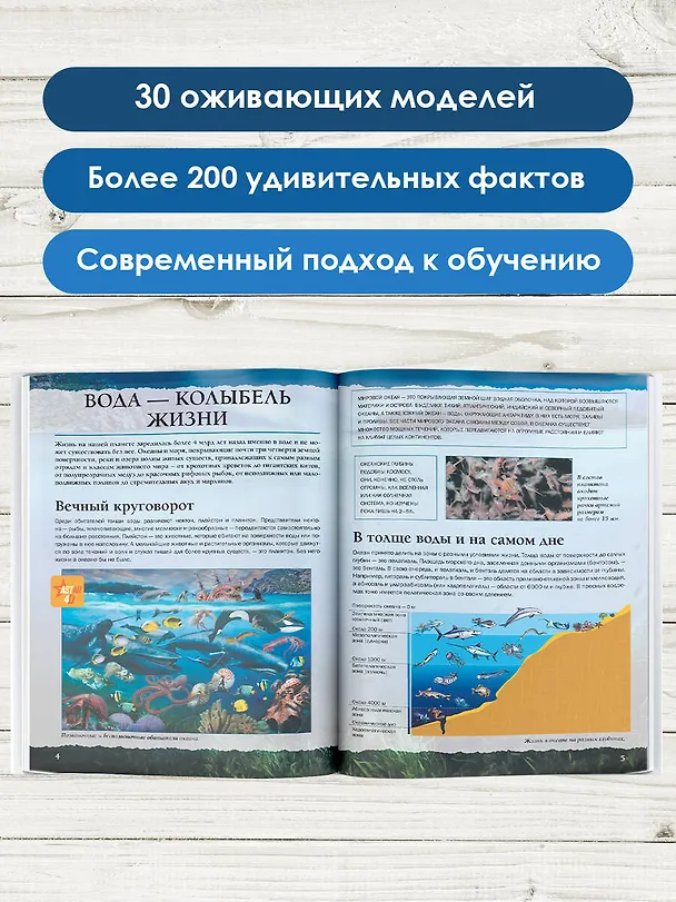 Книга Подводный мир (Анна Спектор) — 7