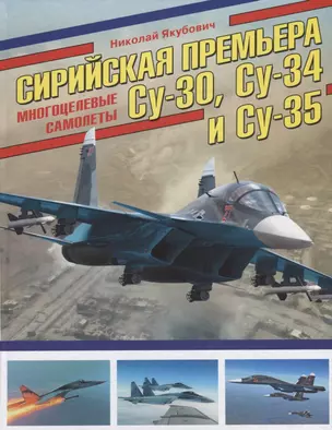 Сирийская премьера. Многоцелевые самолеты Су-30, Су-34 и Су-35 — 2629234 — 1