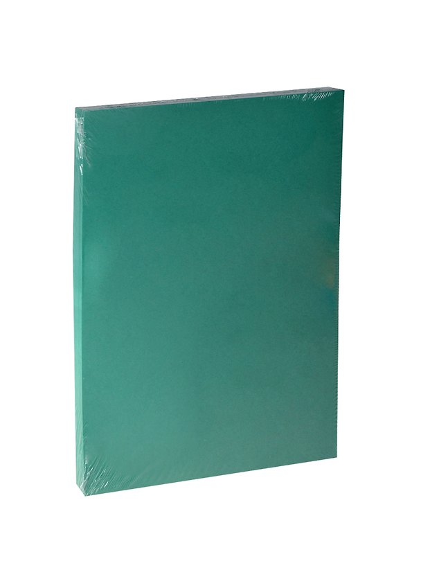 Бумага для пастели А4 "Iris Vivaldi" 240гр/м2, №30 зеленый мох, Canson 231422 — 1