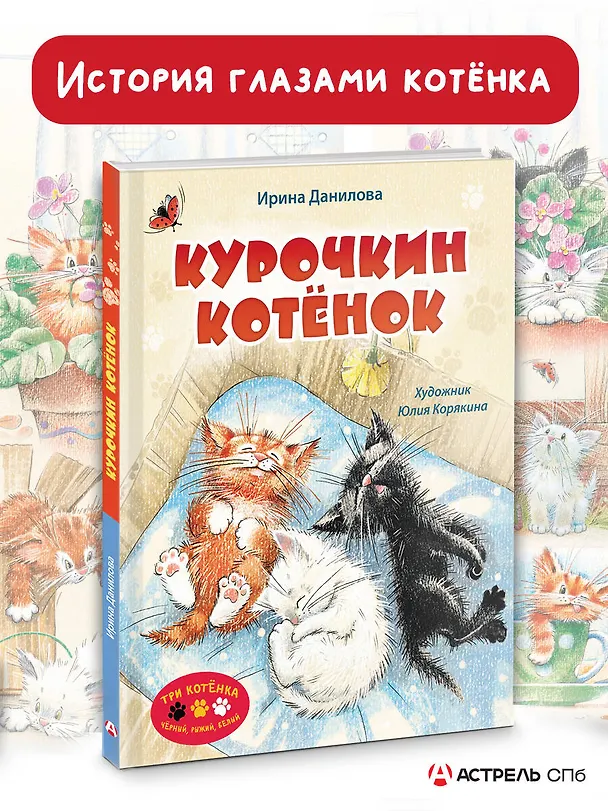Книга Курочкин котенок (Ирина Данилова) — 5