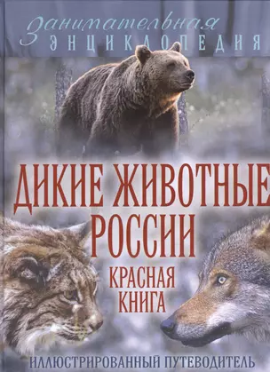 Дикие животные России. Красная книга: иллюстрированный путеводитель — 2458779 — 1