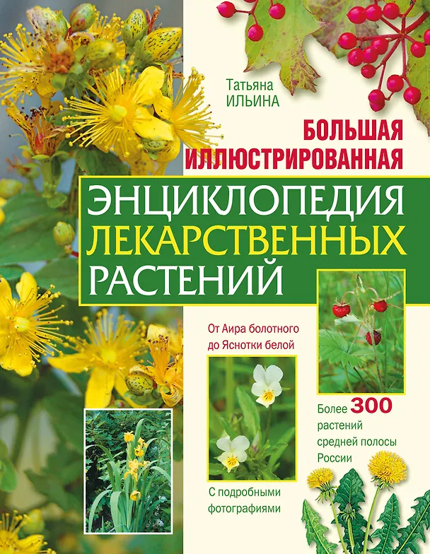 Книга Большая иллюстрированная энциклопедия лекарственных растений (Татьяна Ильина) — 1