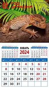 Календарь 2024г 94*167 "Год дракона 5" на магните