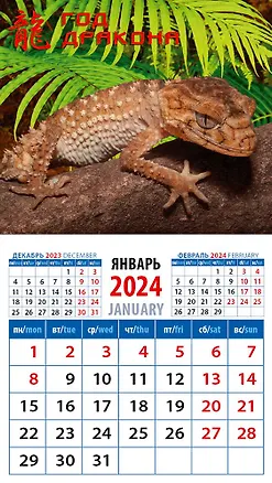 Календарь 2024г 94*167 "Год дракона 5" на магните 2998337