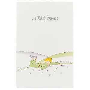 Скетчбук «Маленький Принц на планете», 120 листов