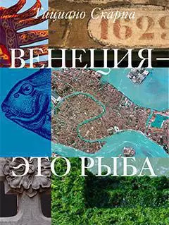 Венеция - это рыба — 2249216 — 1