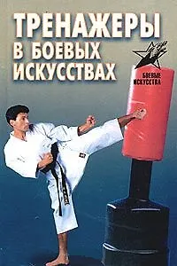 Восточные единоборства (Самоучитель). (Аст)