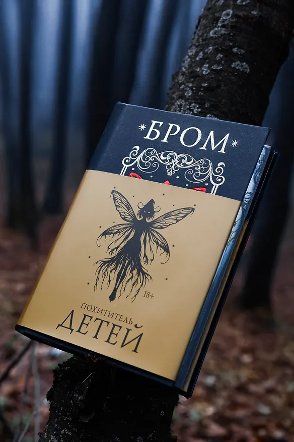 Книга Похититель детей (Джеральд Бром) — 9