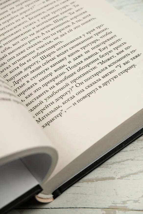 Книга Человек, рисующий синие круги (Фред Варгас) — 9