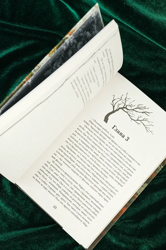Книга Монстр из Арденнского леса. Песнь лабиринта (Ника Элаф) — 11