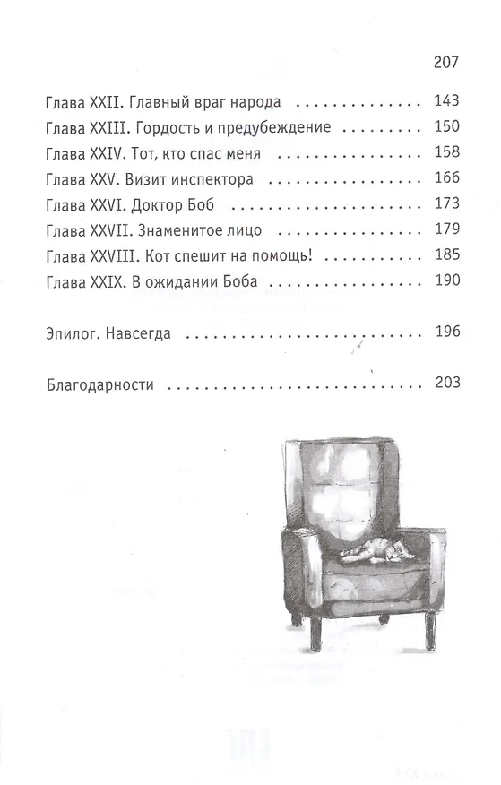Книга Кот Боб: во имя любви (Джеймс Боуэн) — 3