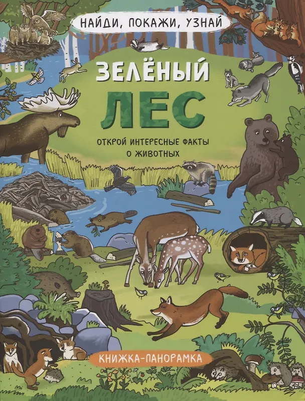 Книга Книжка-панорамка "Зеленый лес" () — 1