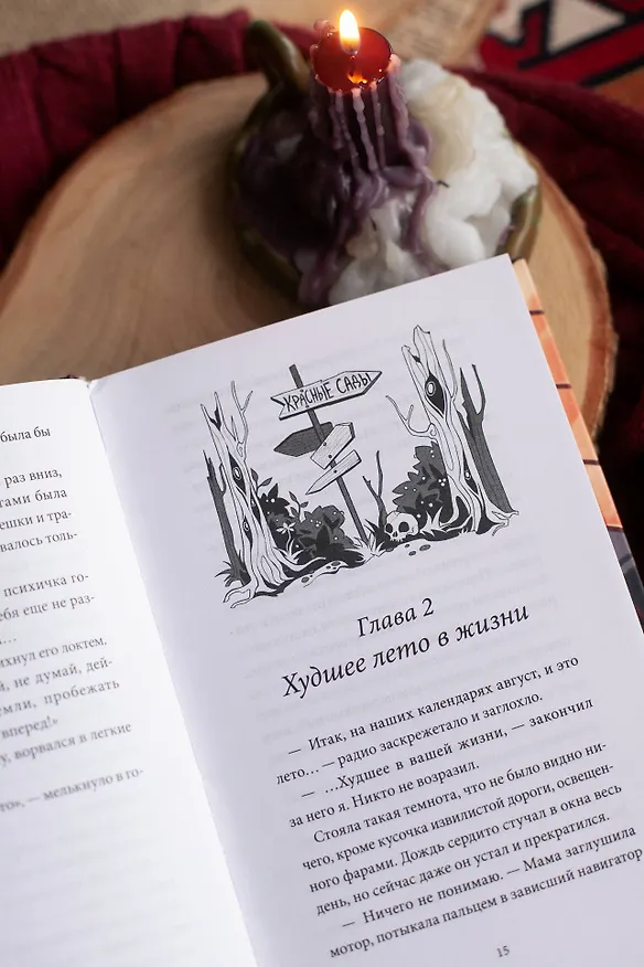 Книга Лавка страха (Софья Яновицкая) — 12