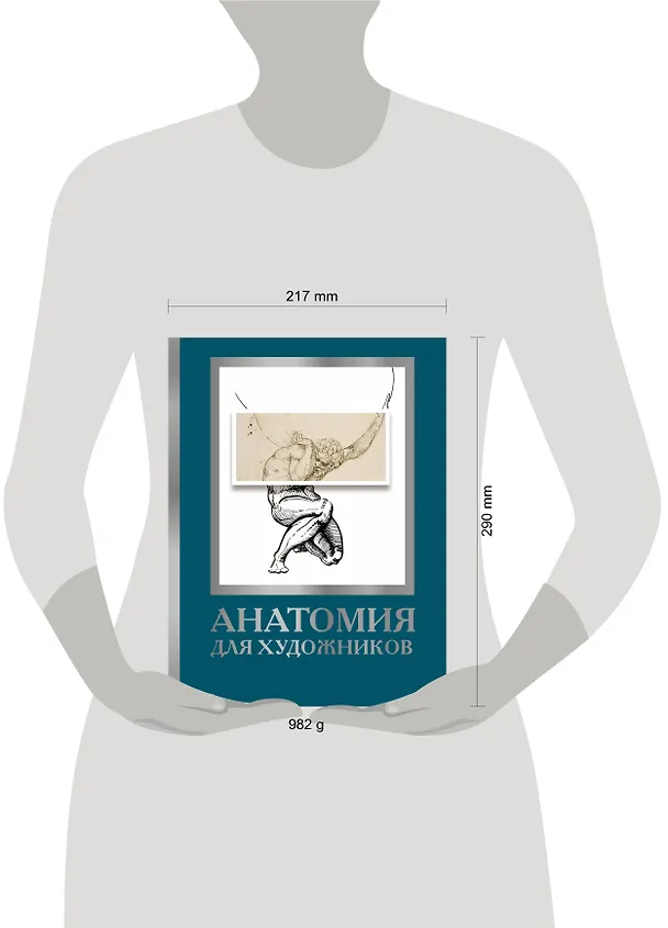 Книга Анатомия для художников (Дженнифер Крауч) — 5