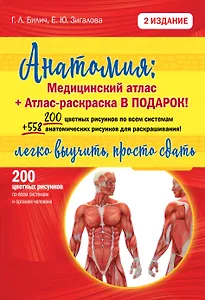 Анатомия легко! Подарок студенту