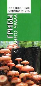 Грибы среднего Урала