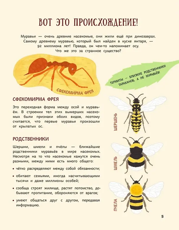 Книга Муравьи против божьих коровок. Божьи коровки против муравьёв. Книжка-перевёртыш (Дарья Губина) — 7