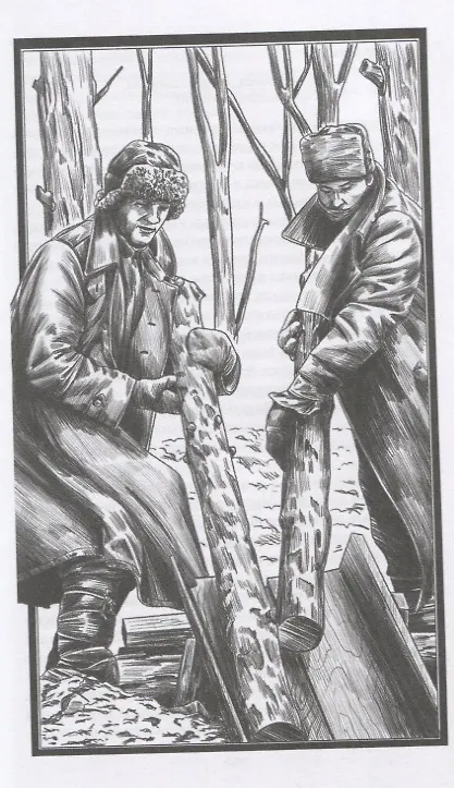 Книга Запретная зона. Роман () — 4