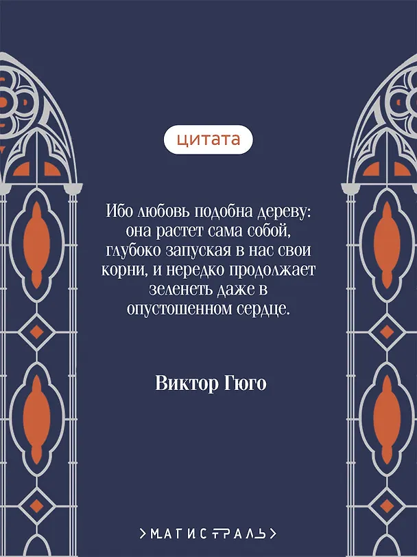 Книга Собор Парижской Богоматери (Виктор Мари Гюго) — 8