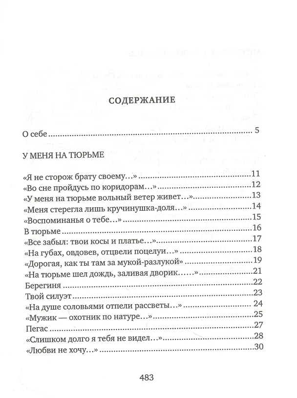 Книга Соколиная книга. Стихи, тексты песен, статьи о поэтах (Сергей Соколкин) — 2