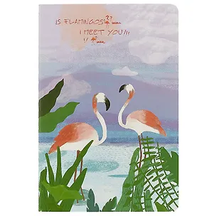 Тетрадь в линейку Flamingos, А5, 38 листов, в ассортименте 249297