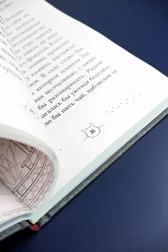 Книга Котофильд в поисках клада (Ольга Соловьёва) — 11