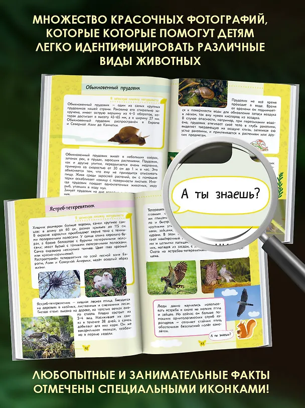 Книга Окружающий мир. Животные (Владислав Сивоглазов) — 6