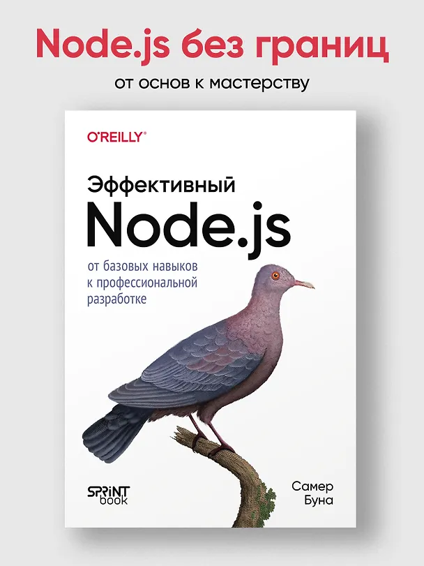 Книга Эффективный Node.js: От базовых навыков к профессиональной разработке (Самер Буна) — 4