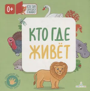 Кто где живет. Кто там спрятался в окошке?