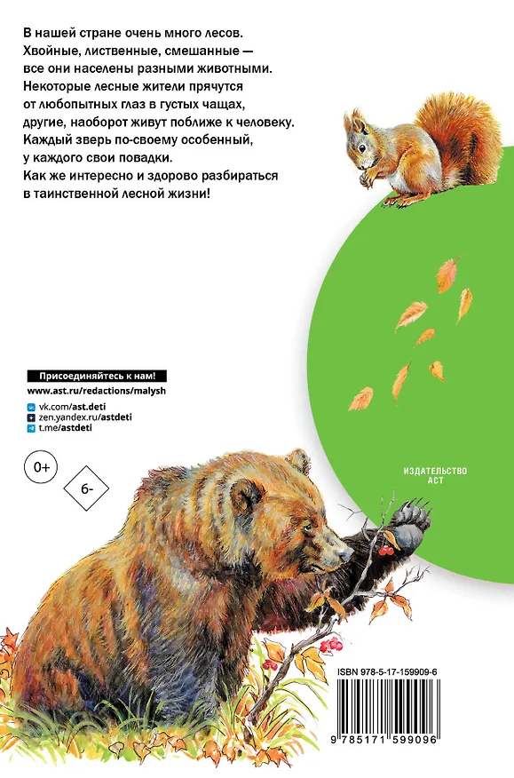 Книга Кто живёт в лесу? (Пётр Волцит) — 2