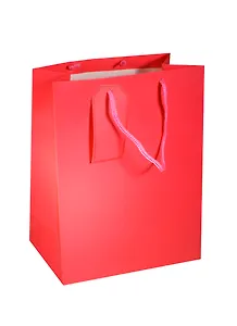 Пакет подарочный бумажный А5 20*20*8 красный, мат. ламинат,Хансибэг