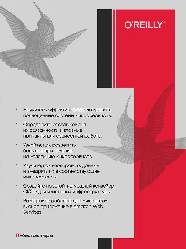 Книга Микросервисы. От архитектуры до релиза (Ронни Митра, Иракли Надареишвили) — 4