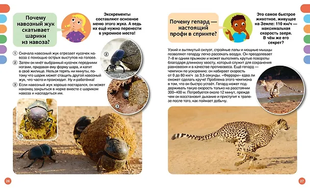 Книга Почему? Вопросы и ответы обо всём на свете (Кэти Франко) — 16