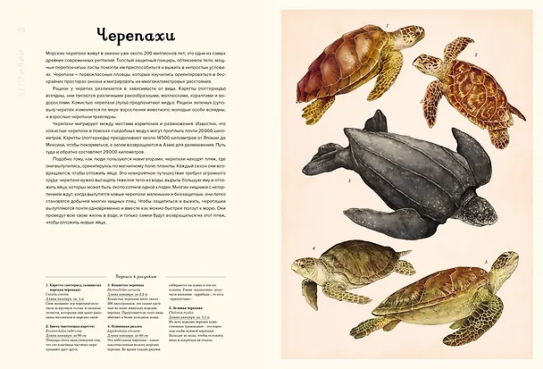 Книга Океанариум (Лавдэй Триник) — 18