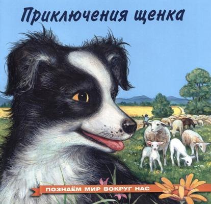 

Приключения щенка