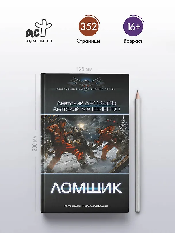Книга Ломщик (Анатолий Дроздов, Анатолий Матвиенко) — 6