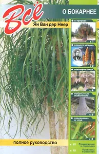 Все о бокарнее