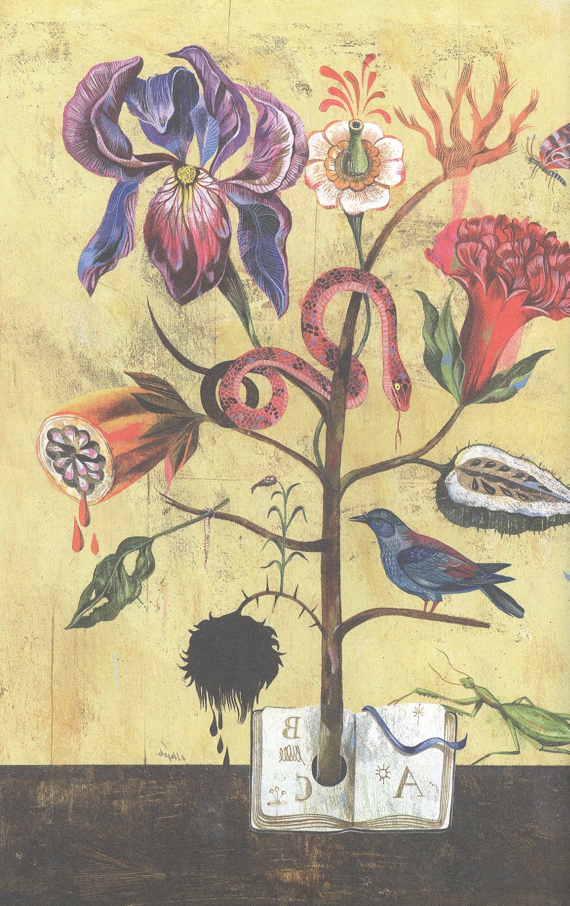 Изображение бумажной книги