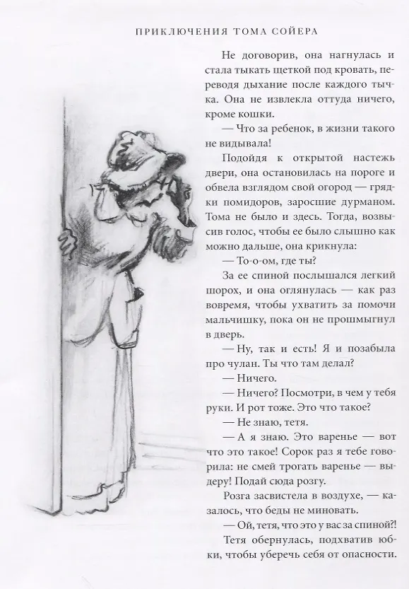 Книга Приключения Тома Сойера (Марк Твен) — 5