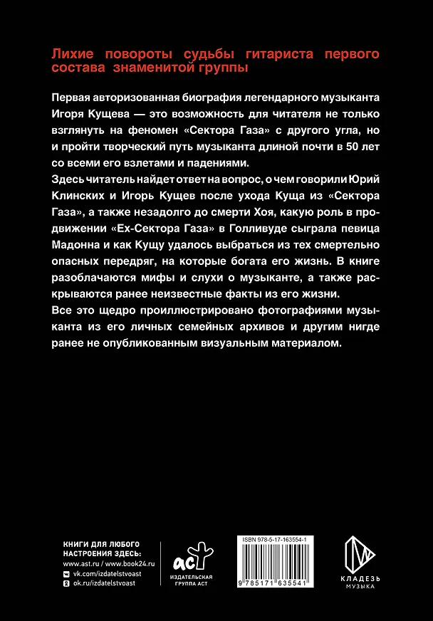 Книга Игорь Кущ и "Сектор Газа". Авторизованная биография (Ярослав Солонин) — 2