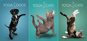 Тетрадь А4 96л кл. "Yoga Animals" полн.УФлак, ассорти, Академия Групп