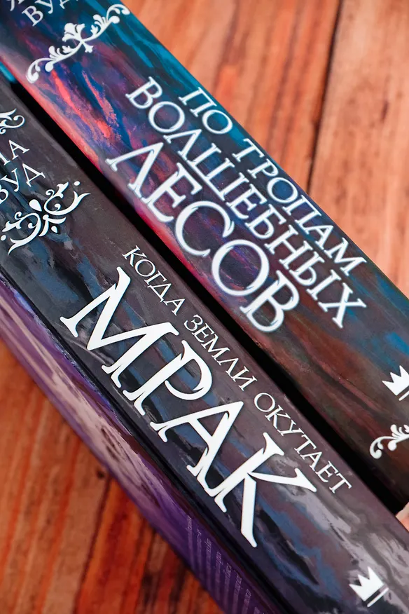 Книга Когда земли окутает мрак (Яна Вуд) — 14