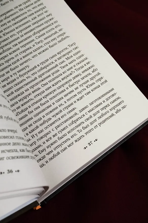 Книга Дом разделенный (Перл Бак) — 10