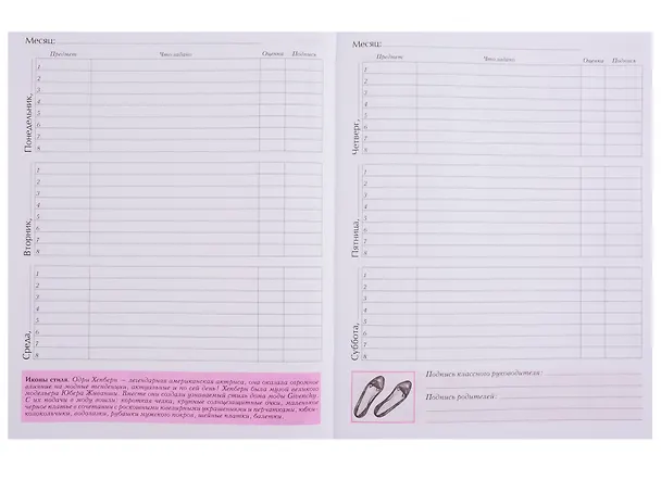 Дневник для средних и старших классов Unnika, "Дневник школьницы.Дизайн 6" 243635 — 5
