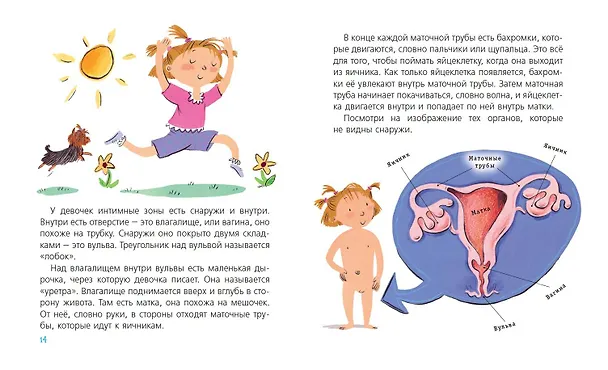 Книга Наш первый разговор об ЭТОМ. Только для детей! (Гейл Зальц) — 11