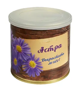 Мини - цветок в банке Астра  (411029)