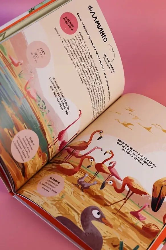 Книга Семья в мире животных. Любовь, забота и воспитание в дикой природе (Доменико Текноченци) — 15