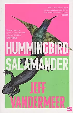 Hummingbird Salamander — 2971805 — 1
